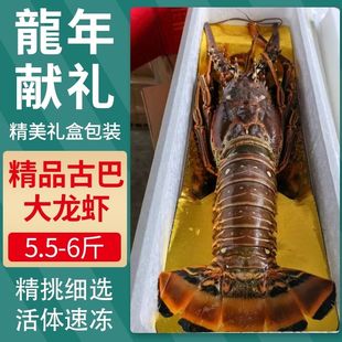 【礼盒装】古巴大龙虾澳洲大龙虾海鲜大礼包过年礼品鲜活大号龙虾