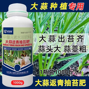 捍卫者大蒜返青抽苔肥出苔齐胖头苔粗大蒜专用增产叶面肥