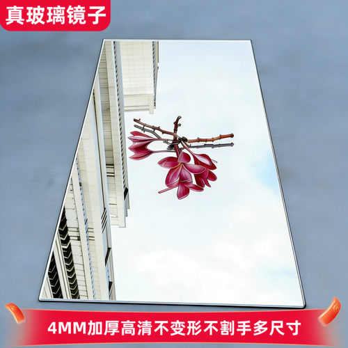 30CM宽玻璃全身免打孔浴室镜