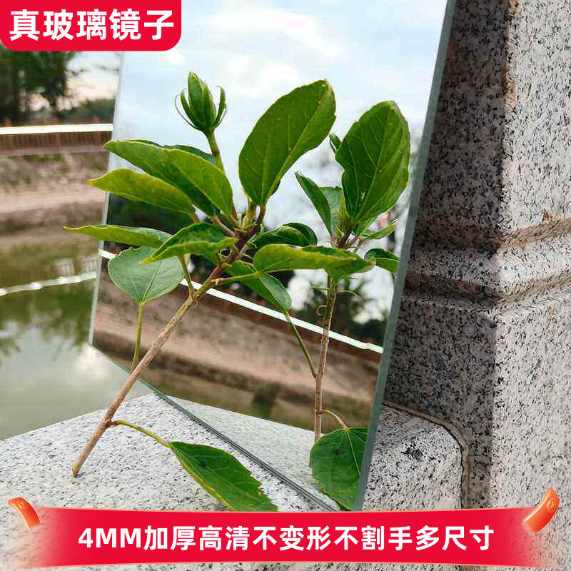 25CM宽方形镜子野外拍照摄影高清玻璃多尺寸免打孔浴室贴墙试衣镜