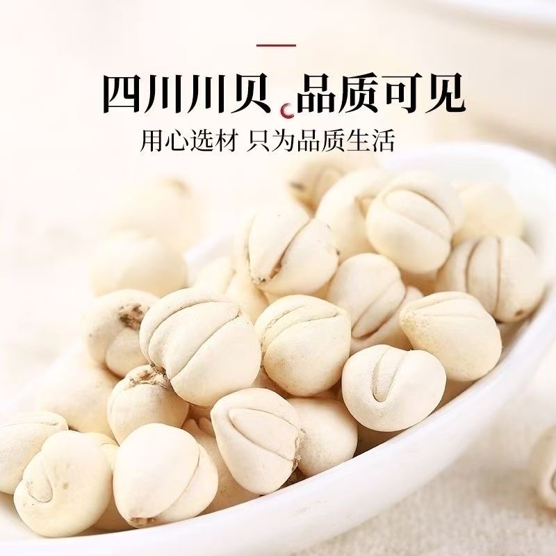 无硫种植非野生川贝松贝母粒100g瓶装川贝母川贝粒松贝粒