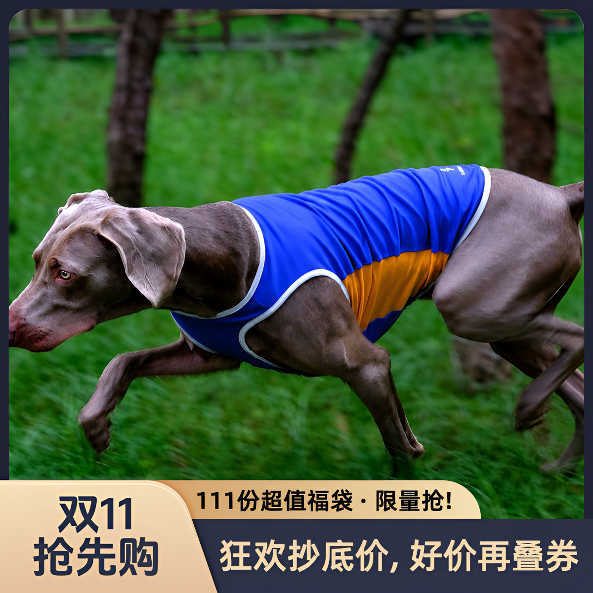 DGDG狗狗凉感背心夏季透气速干
