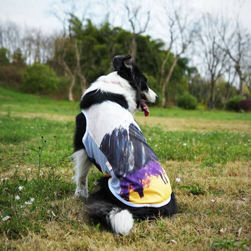 DGDG艺术家联名系列凉凉背心