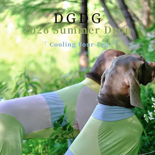 DGDG春季新款全能四脚运动衣