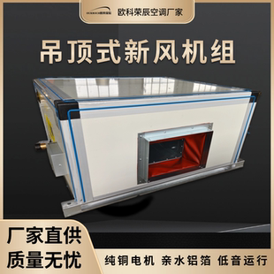 吊顶式空调机组柜式新风空气处理组合式空气净化冷暖两用空调机组