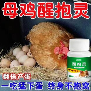 母鸡抱窝醒速效醒抱灵补钙扒窝抱窝翻倍产蛋鸡鸭鹅醒窝饲料添加剂