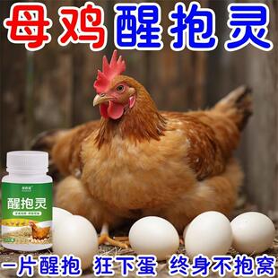 醒抱灵鸡抱窝速醒鸡鸭鹅抱窝不起来拉窝不让孵小鸡醒抱饲料添加剂