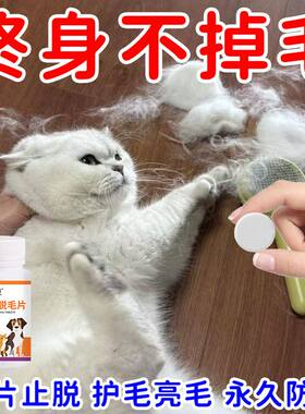 猫咪狗狗防脱毛鱼油卵磷