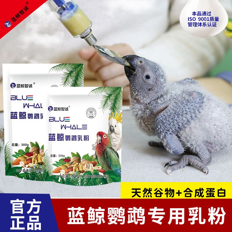 蓝鲸鹦鹉奶粉虎皮牡丹玄