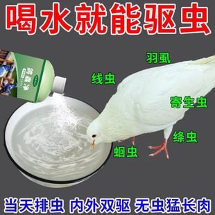 鸽子快速驱虫赛鸽信鸽肉鸽体内寄生虫毛滴虫球虫蛔虫专用打虫药