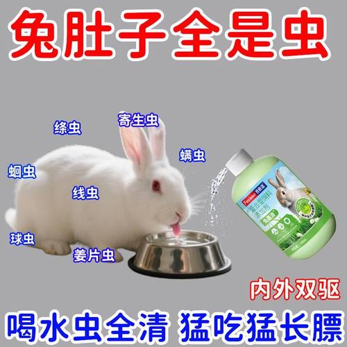 兔子驱虫孕兔可用安全无