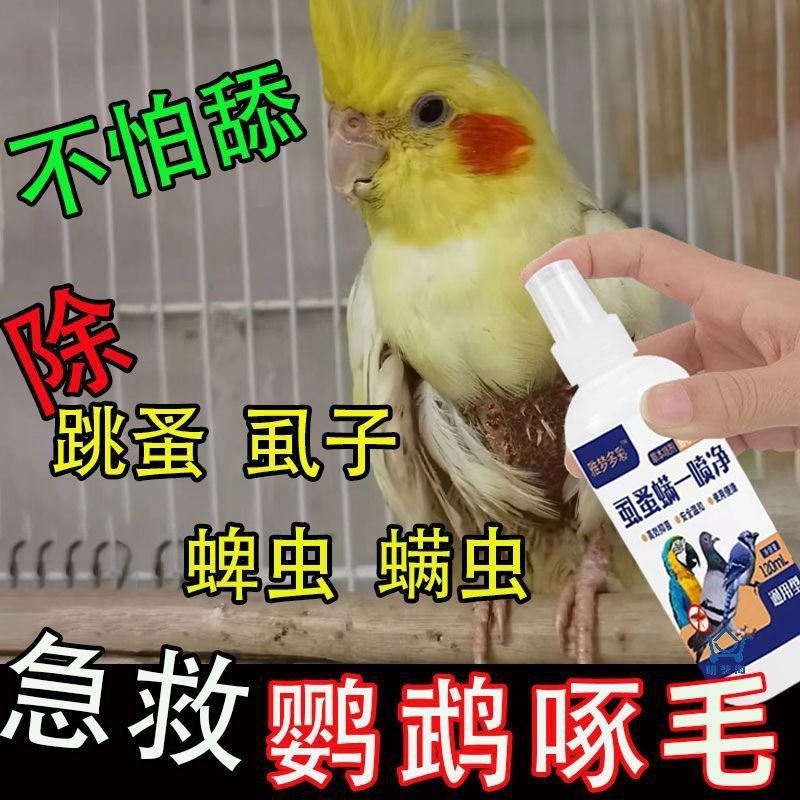 鹦鹉驱虫小鸟药虱螨净鸟