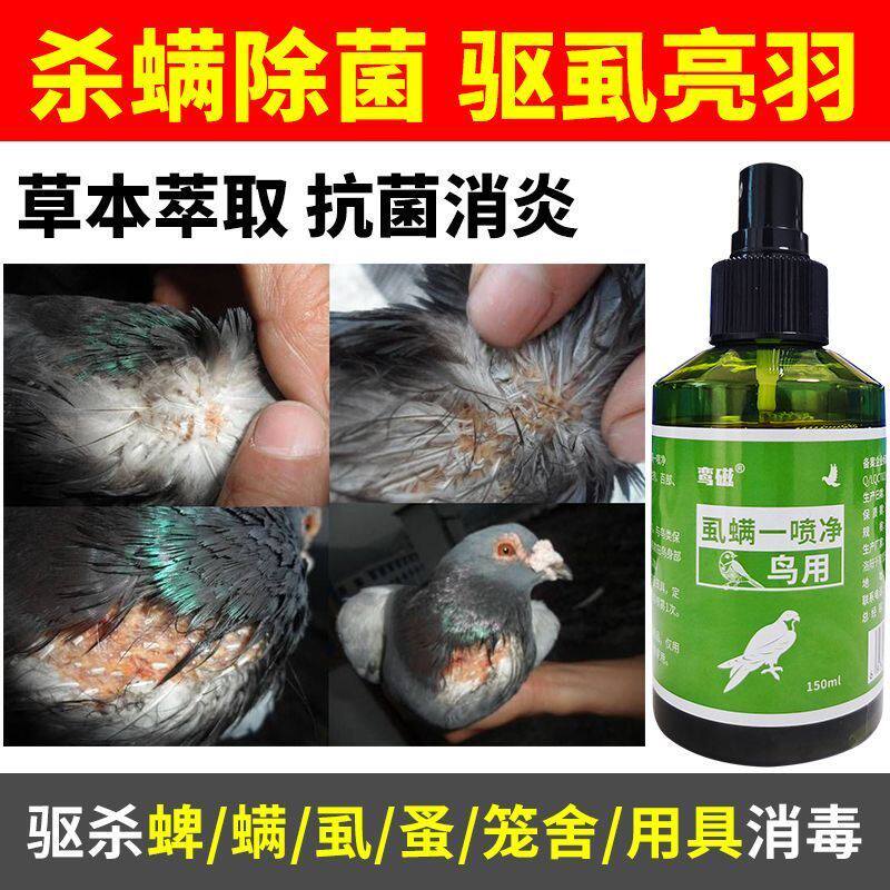 羽虱螨虫鸟类芦丁鸡驱虫喷雾