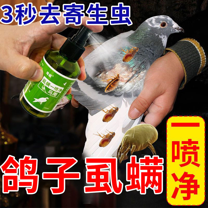 鸽子体外驱虫喷剂羽虱药祛除鸽子身上寄生虫螨虫虱子鸟类专用药 宠物/宠物食品及用品 鸟禽其他 原图主图