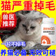 防猫掉毛神器防止脱毛补充营养减少猫咪掉毛严重吃什么维生素鱼油
