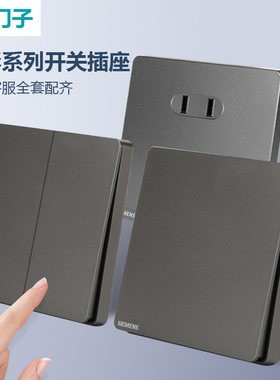 【西门子官方折扣店】皓彩深灰银