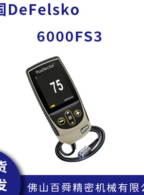 美国DeFelsko  6000FS3涂层测厚仪膜厚仪铁基分体式现货直发