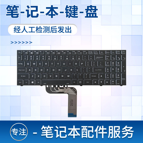 适用于神舟战神T8 S8B6 Z8D6 G8R9 TX8R5 CV15S12/02 CNP6S15/01 笔记本键盘