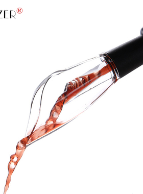 PTZER家用小巧快速醒酒倒酒红酒葡萄酒神器高档套装引酒分酒礼品