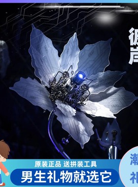 机械党送男朋友生日礼物给老公男士创意惊喜手工diy金属拼图积木