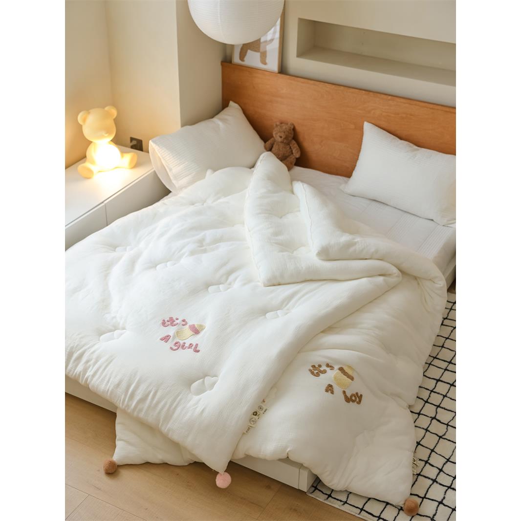 a类母婴级60支纯棉亲肤双层纱布奶嘴毛巾绣花纯棉儿童抗菌棉被芯