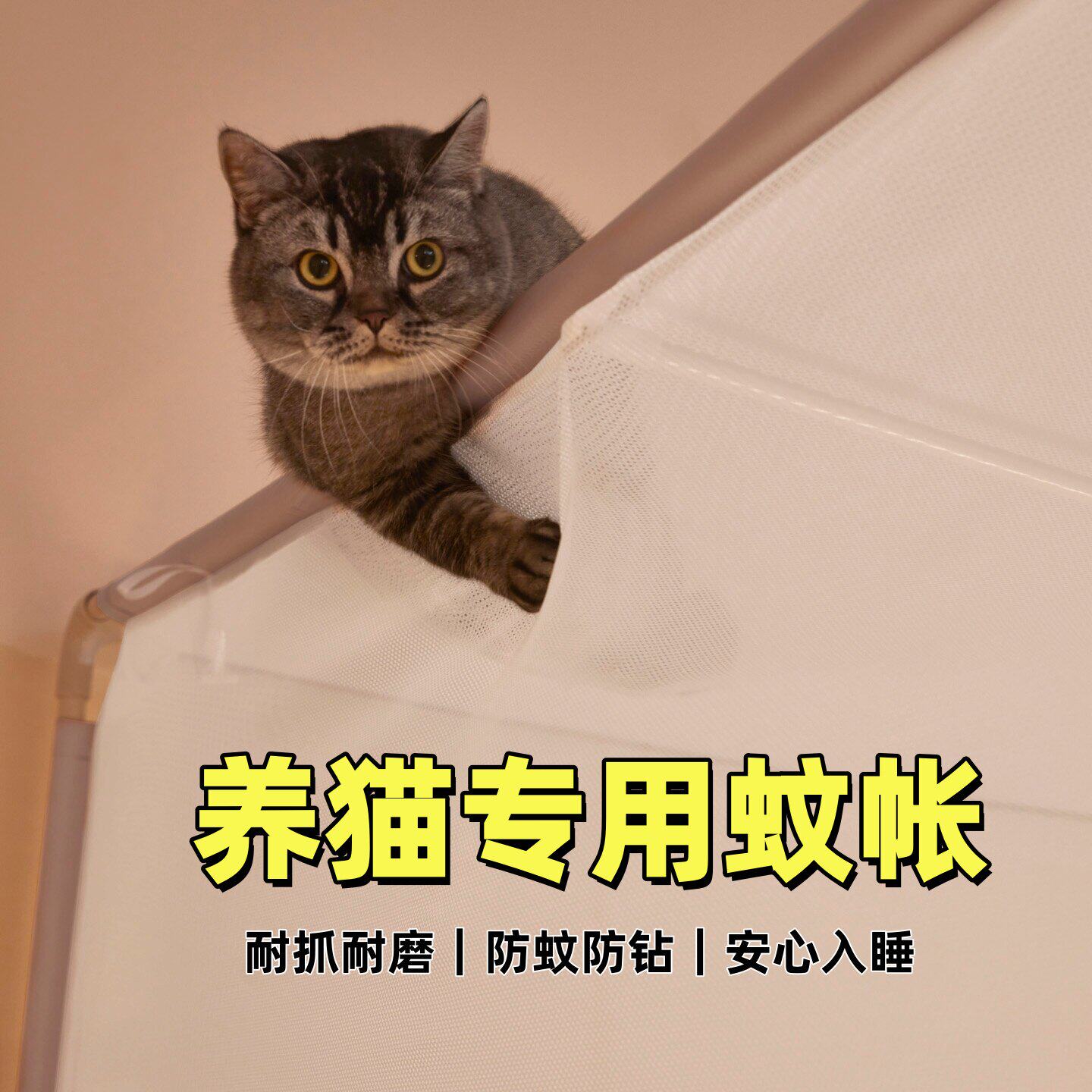 防猫抓蚊帐床罩帐篷床帘养猫咪家用卧室床幔床上防宠物专用结实