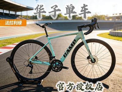 纯油碟公路车坎普入门休闲超轻