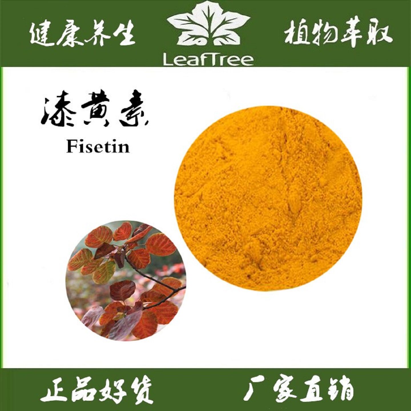 漆黄素黄栌萃取提取物非瑟酮抗衰