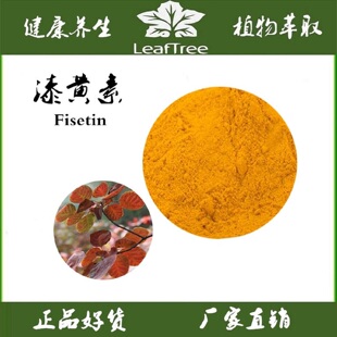 漆黄素98%黄栌萃取提取物抗糖化衰老 非瑟酮 紫铆素 非瑟素增记忆