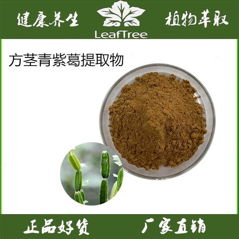 方茎青紫葛提取物cissus粉肉质茎方茎青纯粉减脂翡翠阁浓缩萃取