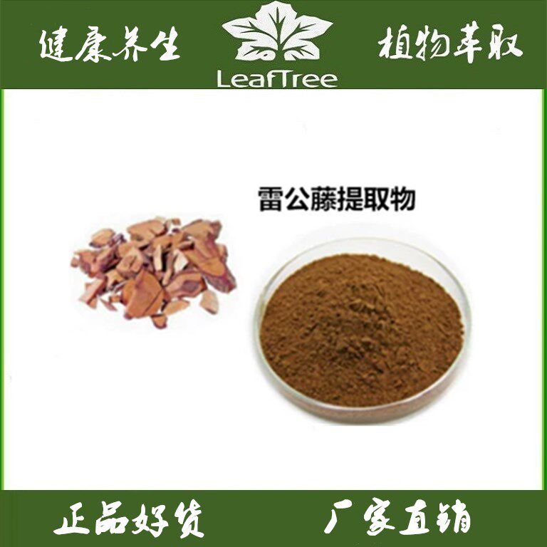雷公藤提取物 雷公藤浓缩粉 水溶黄药萃取 粉 黄藤根萃取精华粉