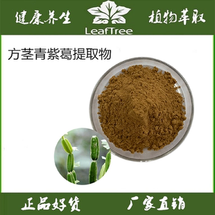 方茎青紫葛提取物Cissus粉肉质茎方茎青纯粉减脂翡翠阁浓缩萃取