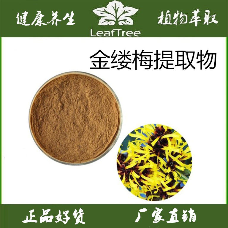 金缕梅提取物50:1木里香萃取 速溶金缕梅浓缩粉 金缕梅萃取精华粉