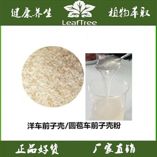 洋车前子壳提取物 印度纯进口洋车前子壳饱腹减脂 圆苞车前子壳粉