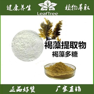 褐藻提取物 褐藻糖胶 岩藻多糖 褐精华粉速溶 褐藻多糖硫酸酯98%