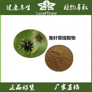 鬼针草提取物 浓缩免煎粉 鬼针草粉 三叶鬼针草 鬼钗草萃取精华粉