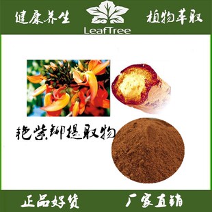正品艳紫铆提取物 水溶泰国红野葛根精华粉 红高颗浓缩萃取免煎粉