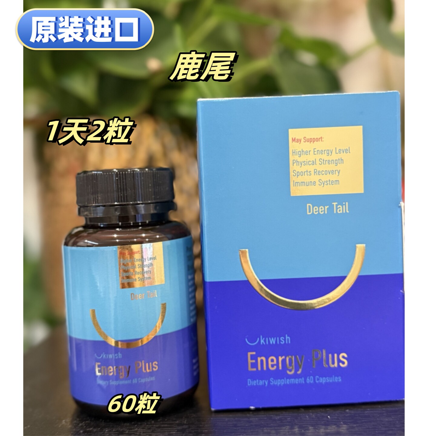 进口KIWISH鹿尾胶囊60粒鹿产品