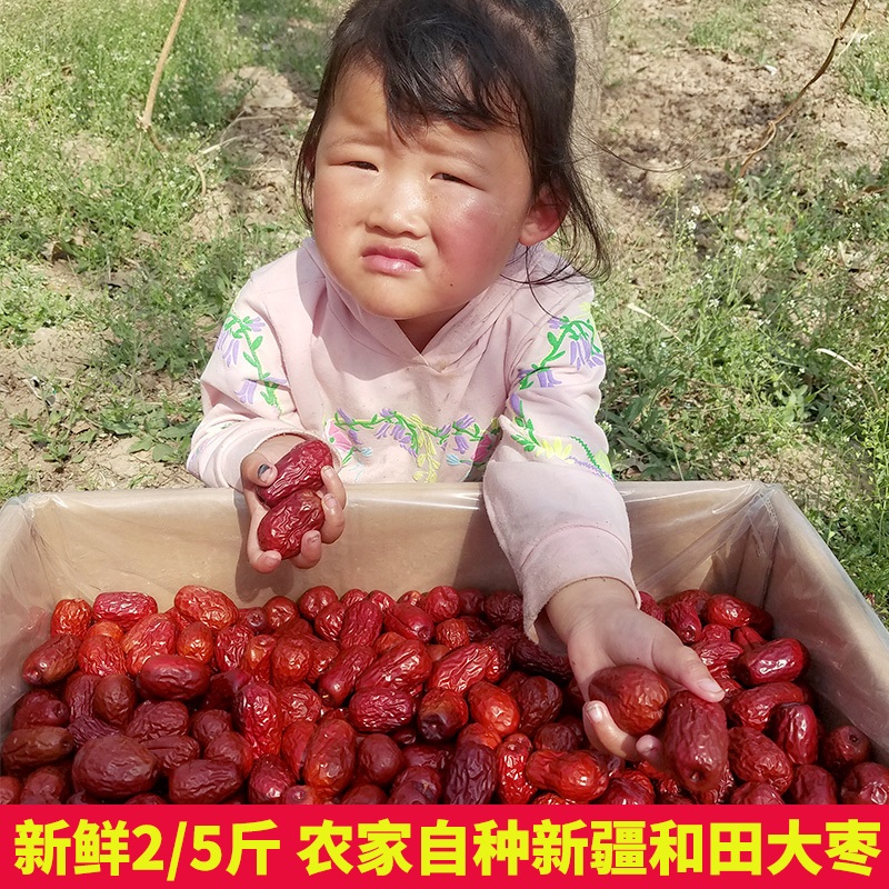 新疆红枣包邮和田大枣大红枣正宗特级枣子新货5斤灰枣特产红枣干
