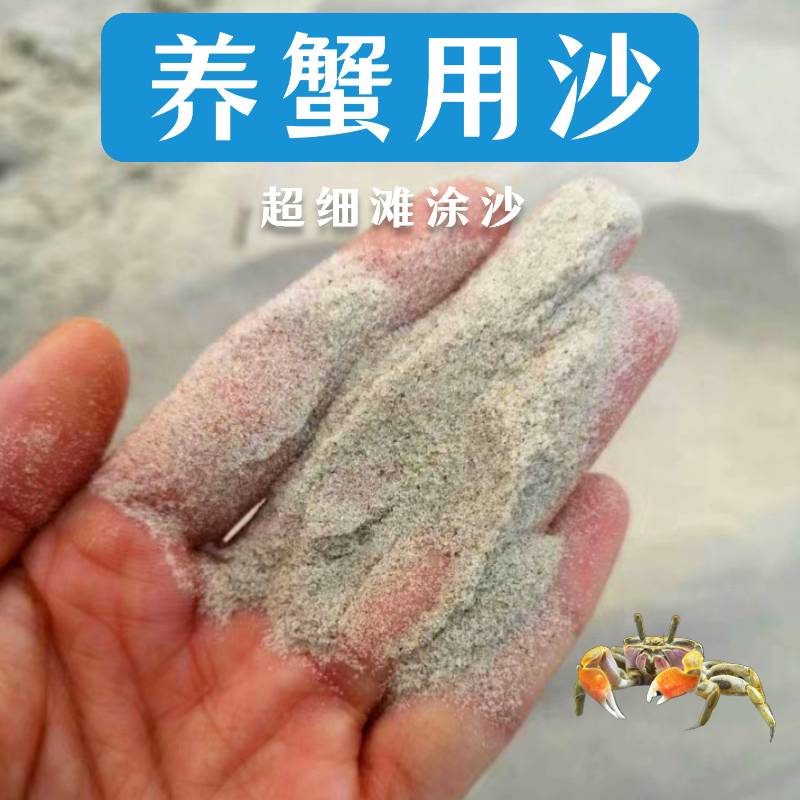 汽水蟹专用贝壳砂调出适合的水质