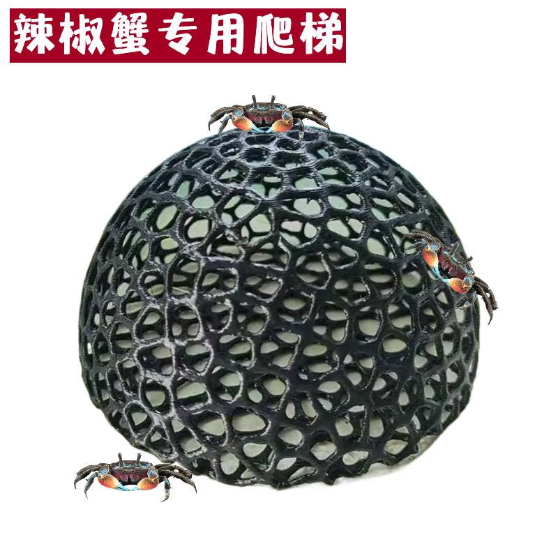 小鱼躲避屋黑壳虾虾屋