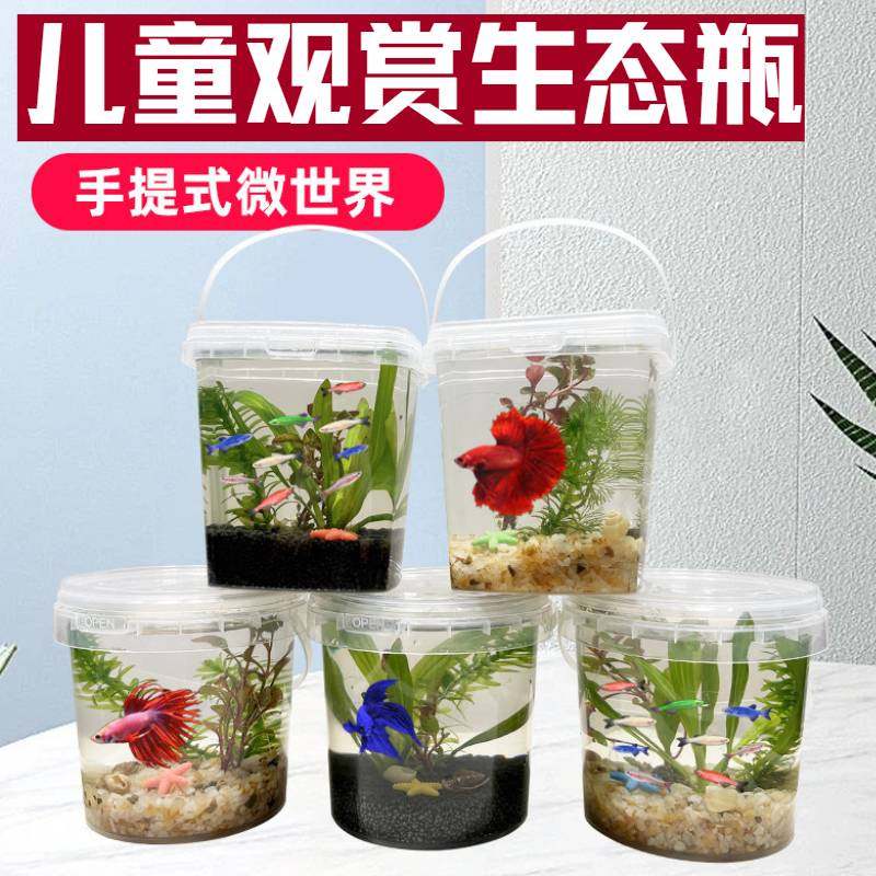 儿童观赏生态瓶手提式微景观鱼缸斗鱼缸透明塑料圆形便携式生态缸