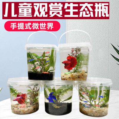 儿童手提透明塑料圆形微景观缸