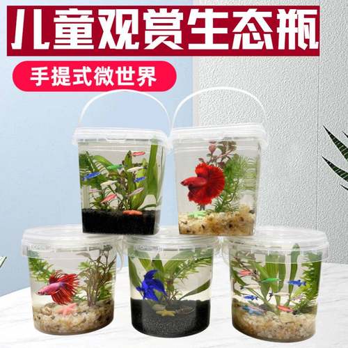儿童手提透明塑料圆形微景观缸