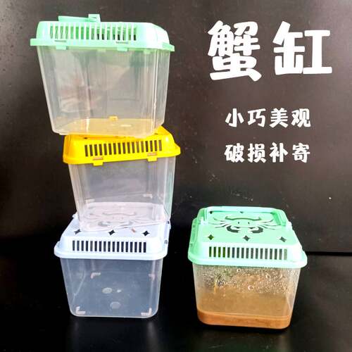 辣椒蟹专用缸螃蟹饲养懒人桌面缸