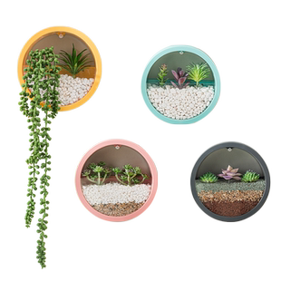 壁挂式花盆水培养绿萝室内墙面墙壁圆形个性北欧简约餐厅装饰花篮