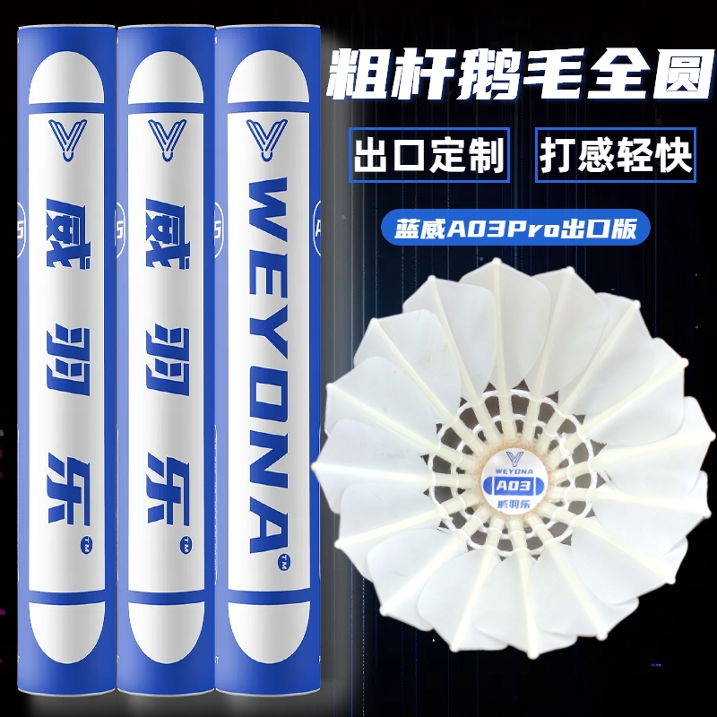 一级全圆羽毛球对标AS03亚3