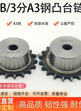 06B3分单排台链轮4分5分6分1寸08B10A12A16A工业链轮支持加工定制