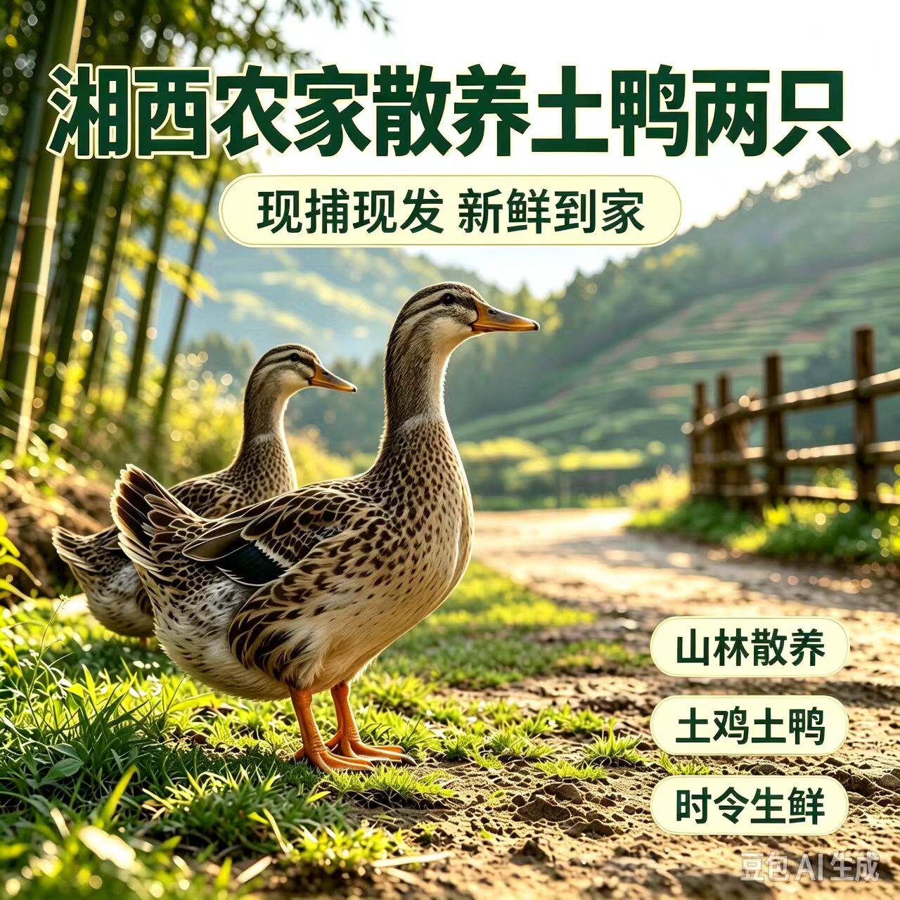 芷江鸭2只净重近8斤土鸭麻鸭新鲜鸭肉不是老鸭做红烧炒鸭姜母鸭