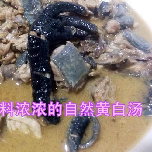 雪峰山乌鸡农家散养新鲜包邮